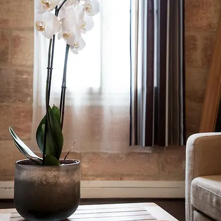 Demeure Des Girondins Saint-Émilion